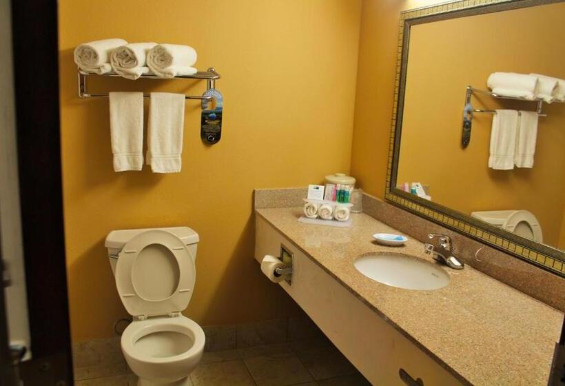 스탠다드 룸 킹사이즈 침대, Lexington Inn And Suites