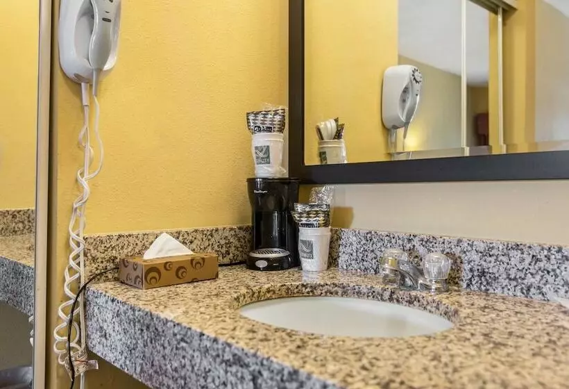 ２ダブルベッドのスタンダードルーム, Quality Inn Calera I65 Exit 231