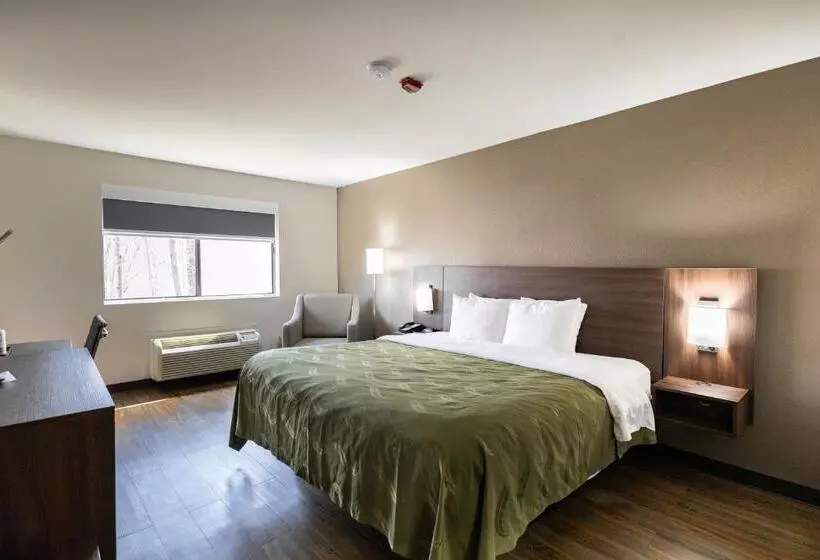 Standard-huone King-vuode, Quality Inn