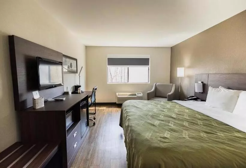 Standard-huone King-vuode, Quality Inn