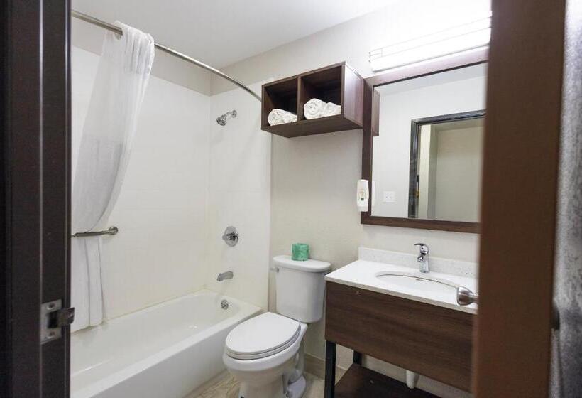 غرفة قياسية سرير كينج, Quality Inn