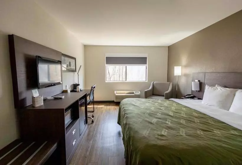 Standard-huone King-vuode, Quality Inn