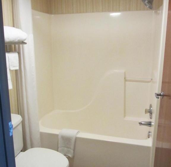 غرفة قياسية سرير كينج, Quality Inn Van Horn