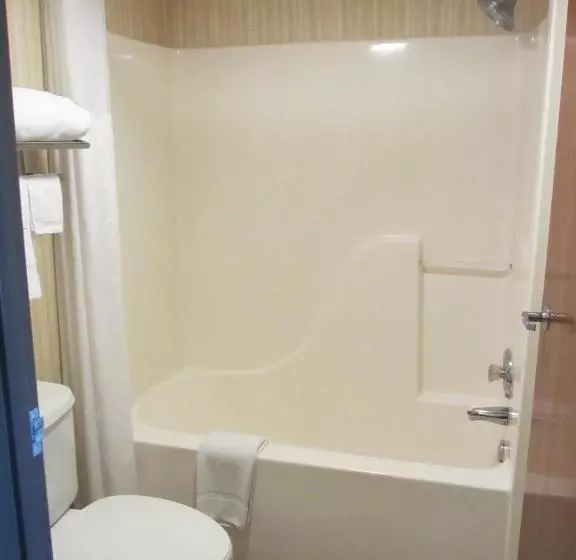 キングサイズベッドのスタンダードルーム, Quality Inn Van Horn