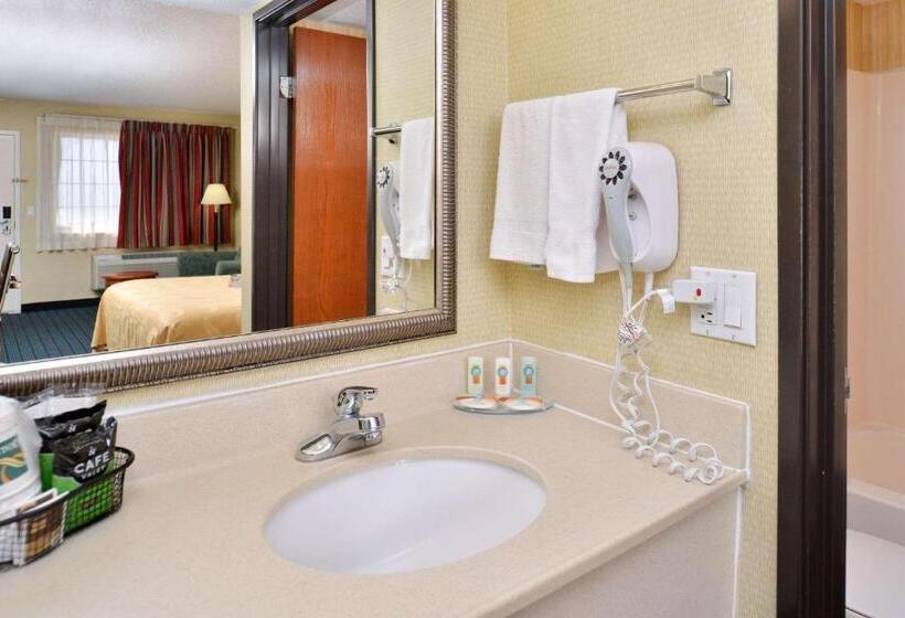 Номер Стандарт Кровать Кинг Адаптированный для Инвалидов, Quality Inn Van Horn