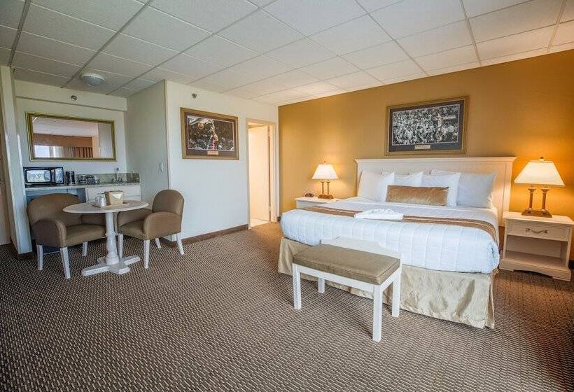 غرفة قياسية سرير كينج, Stadium