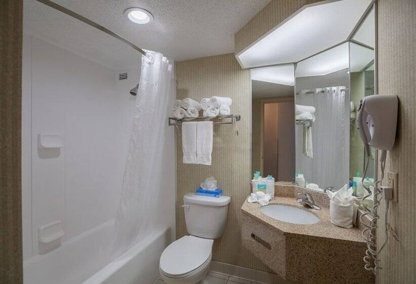 غرفة قياسية سرير ملكى, Stadium