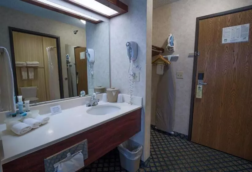 اتاق استاندارد با تخت بزرگ, Miles City Hotel & Suites
