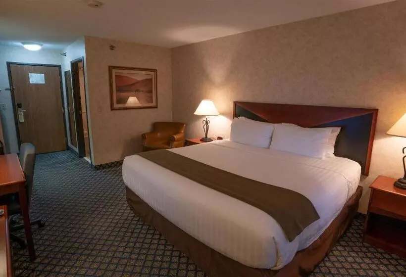 اتاق استاندارد با تخت بزرگ, Miles City Hotel & Suites