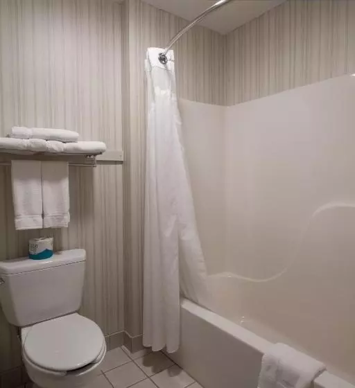 اتاق استاندارد با تخت بزرگ, Miles City Hotel & Suites
