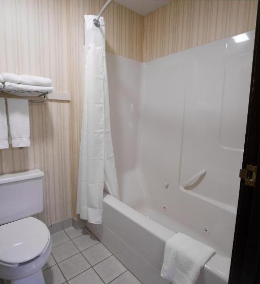 סוויטה דלוקס, Miles City Hotel & Suites