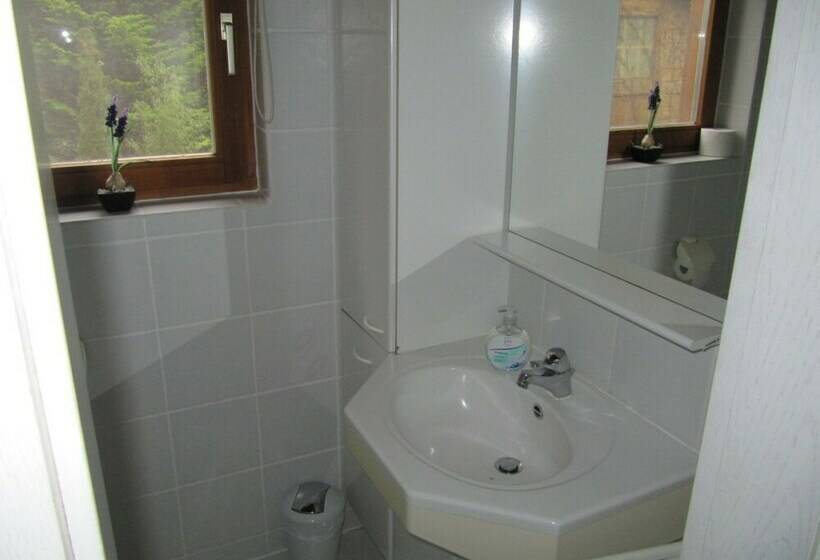 منزل غرفة نوم واحدة, Buchenweg 40a