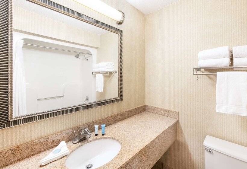 Номер Стандарт 2 Двуспальные Кровати, Aviator Hotel & Suites South I 55, Bw Signature Collection