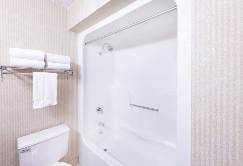 스탠다드 룸 더블 침대 2개, Aviator Hotel & Suites South I 55, Bw Signature Collection