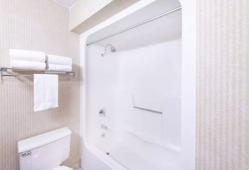 اتاق استاندارد با 2 تخت دوبل, Aviator Hotel & Suites South I 55, Bw Signature Collection
