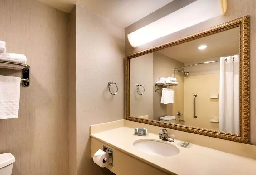 سوییت, Best Western Downtown Phoenix