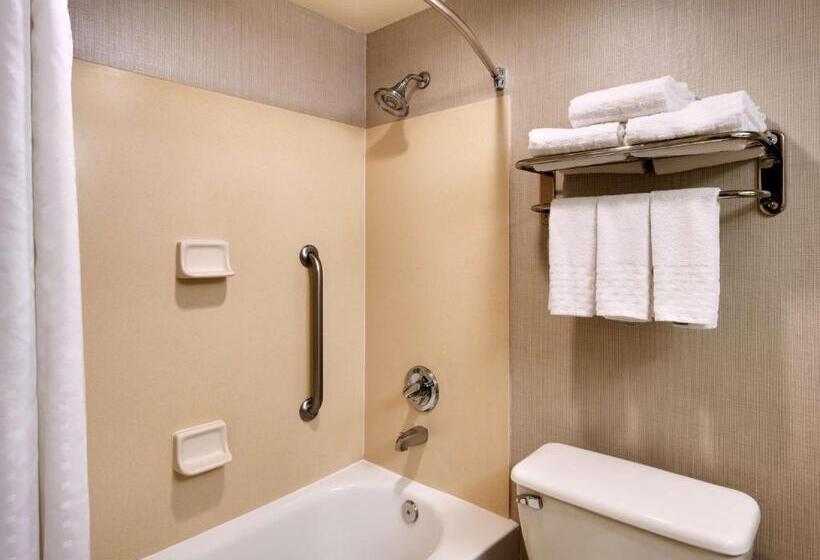 חדר סטנדרט עם מיטת קינג, Best Western Downtown Phoenix
