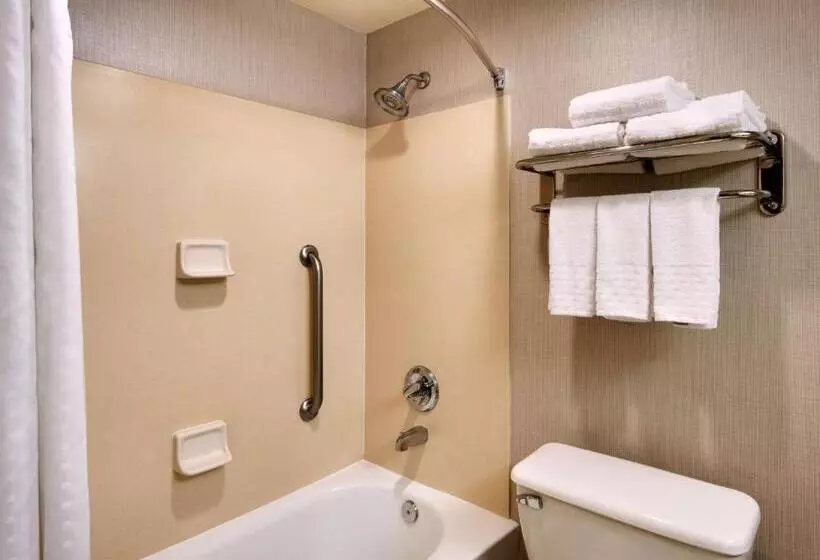 اتاق استاندارد با تخت بزرگ, Best Western Downtown Phoenix