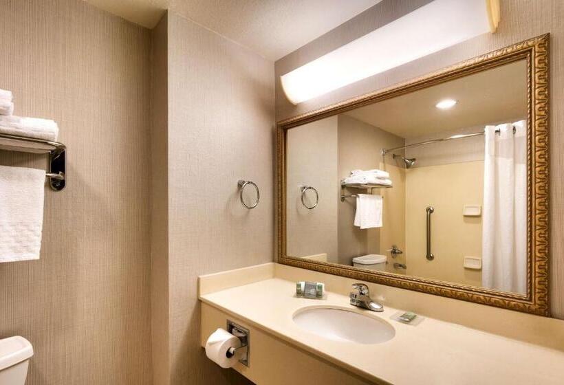 اتاق استاندارد با تخت بزرگ, Best Western Downtown Phoenix