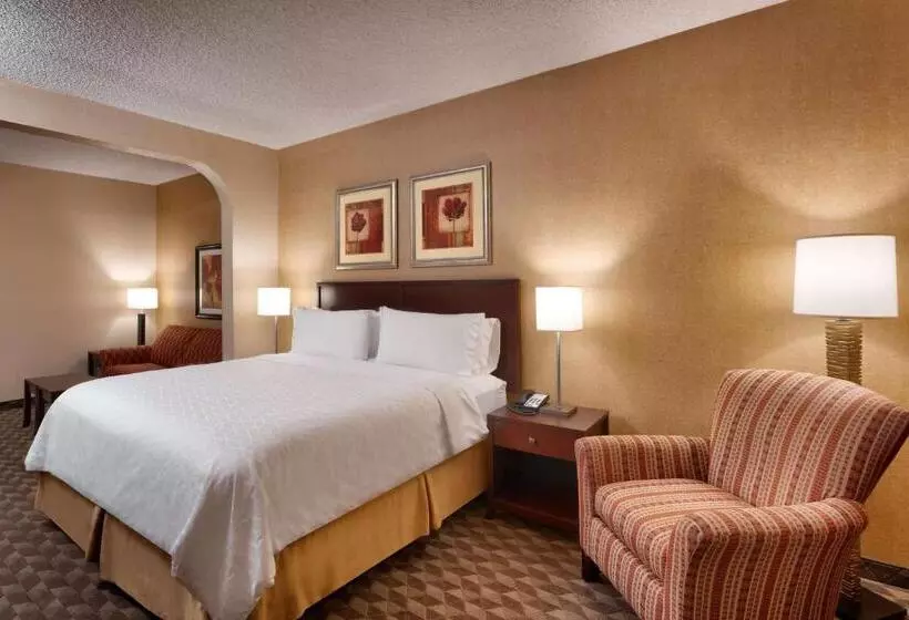 سوئیت با تخت بزرگ, Best Western Downtown Phoenix