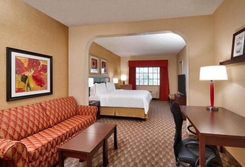 מיטת קינג בסוויטה, Best Western Downtown Phoenix