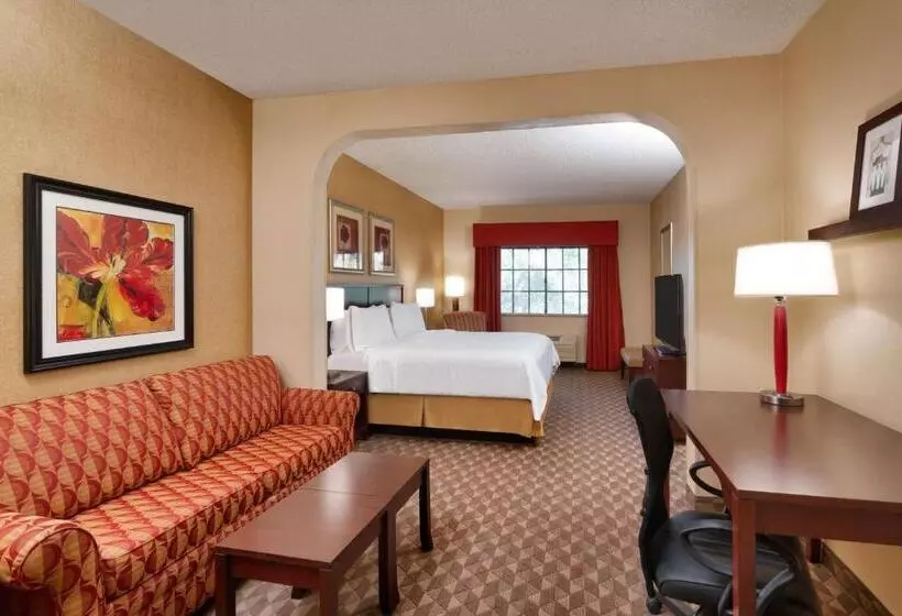 سوئیت با تخت بزرگ, Best Western Downtown Phoenix