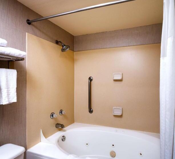 سوئیت با تخت بزرگ, Best Western Downtown Phoenix