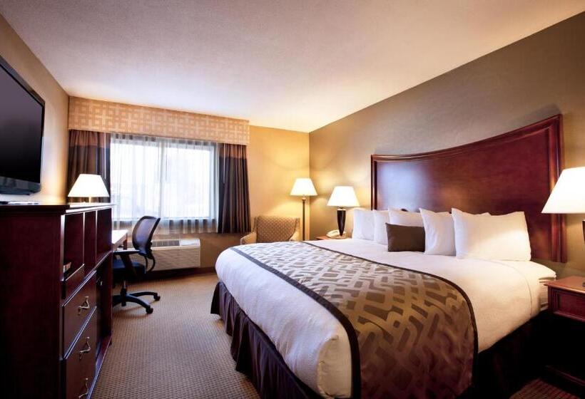 חדר סטנדרט עם מיטת קינג, Clarion Inn