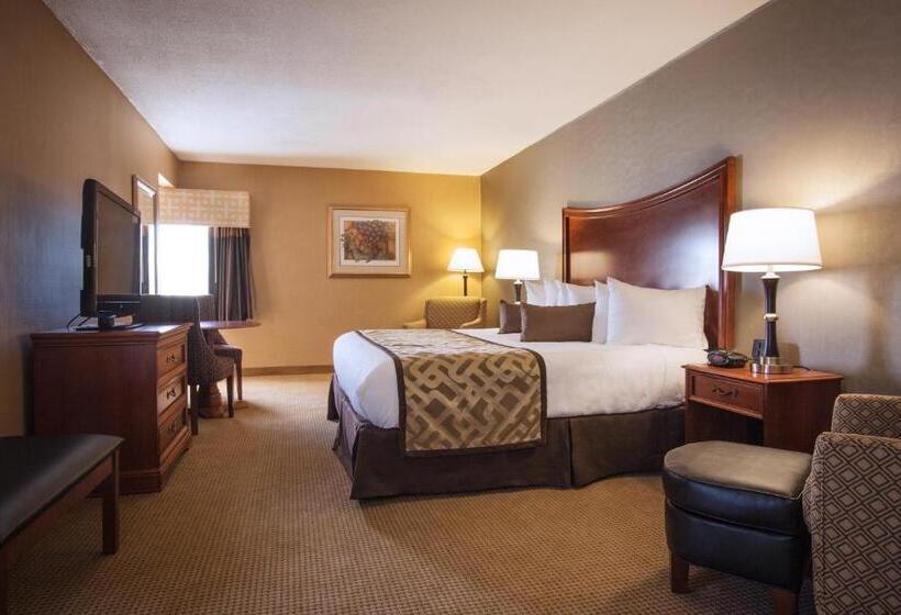 חדר סטנדרט עם מיטת קינג, Clarion Inn