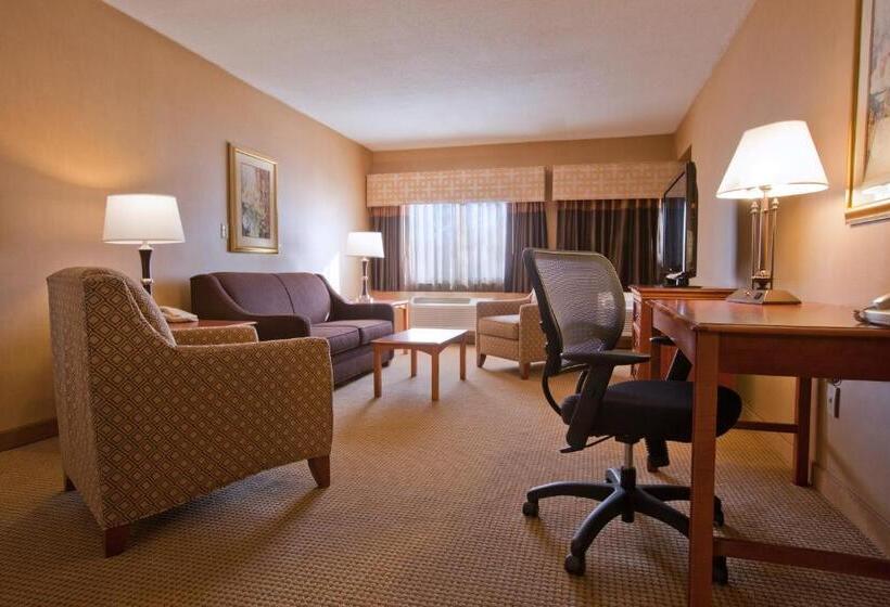 חדר סטנדרט עם מיטת קינג, Clarion Inn