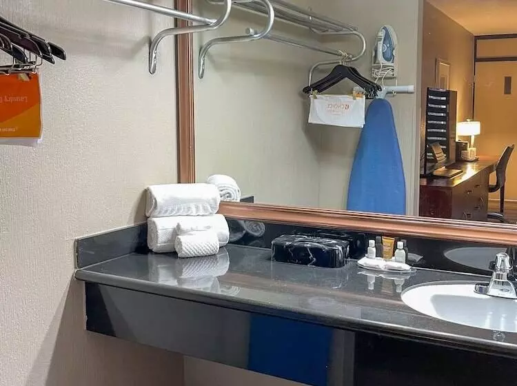 スタンダードルーム, Greentree Hotel & Extended Stay I 10 Fwy Houston, Channelview, Baytown