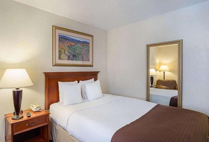 חדר סטנדרט, Greentree Hotel & Extended Stay I 10 Fwy Houston, Channelview, Baytown