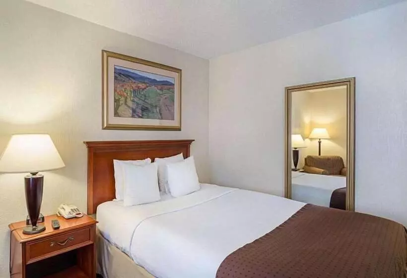 スタンダードルーム, Greentree Hotel & Extended Stay I 10 Fwy Houston, Channelview, Baytown