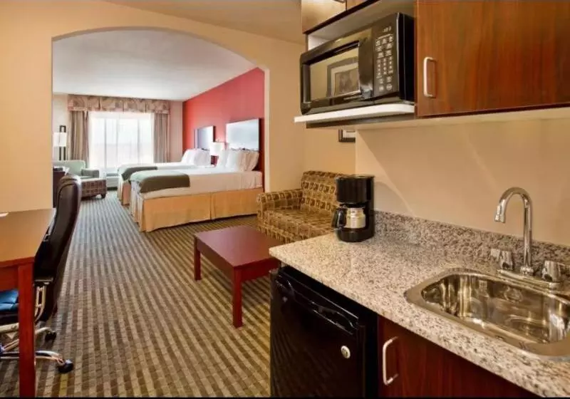 اتاق استاندارد با تخت بزرگ, Clarion Hotel Conference Center   North