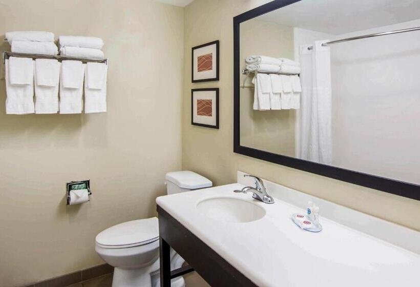 غرفة قياسية, Comfort Inn Atlanta Downtown South