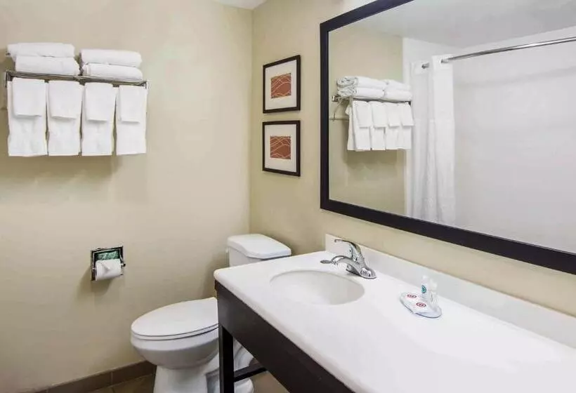 اتاق استاندارد, Comfort Inn Atlanta Downtown South