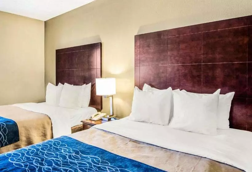 اتاق استاندارد, Comfort Inn Atlanta Downtown South