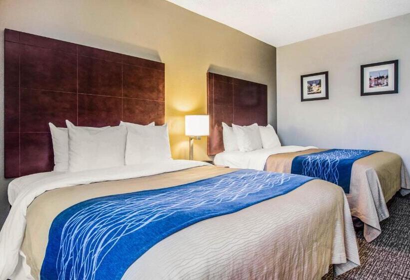 חדר סטנדרט, Comfort Inn Atlanta Downtown South