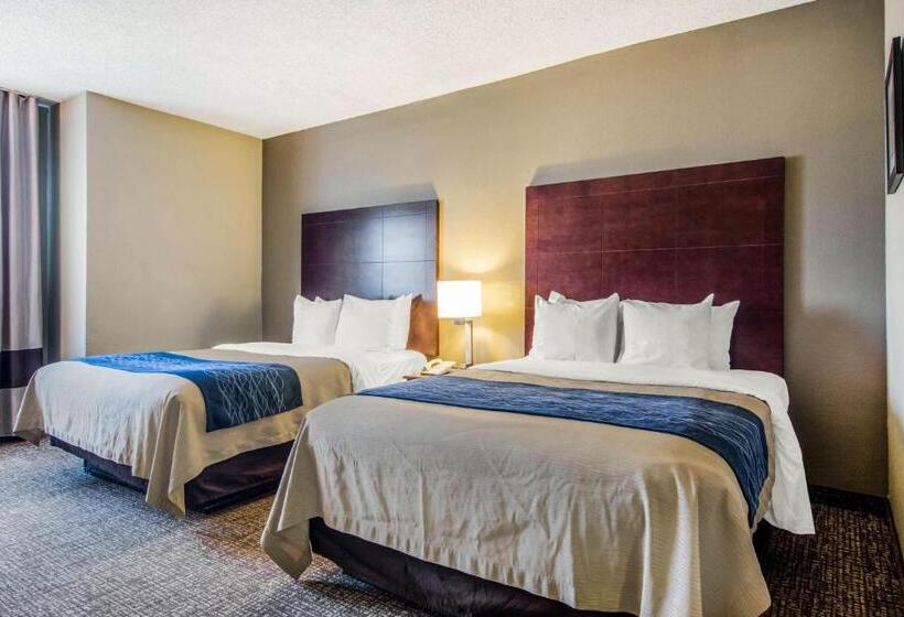 غرفة قياسية, Comfort Inn Atlanta Downtown South