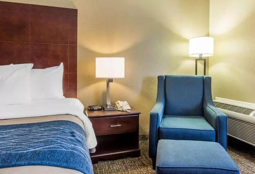 اتاق استاندارد با تخت بزرگ, Comfort Inn Atlanta Downtown South