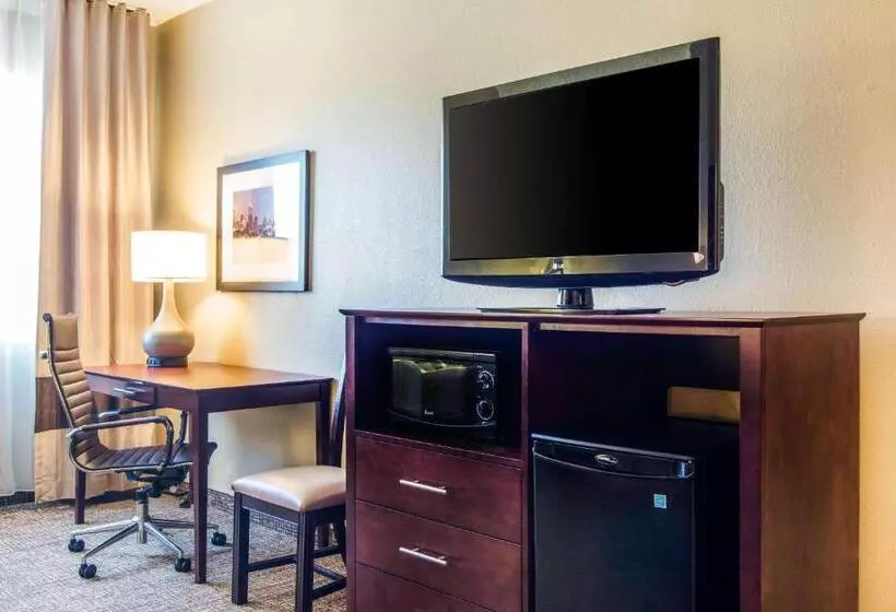 اتاق استاندارد با تخت بزرگ, Comfort Inn Atlanta Downtown South