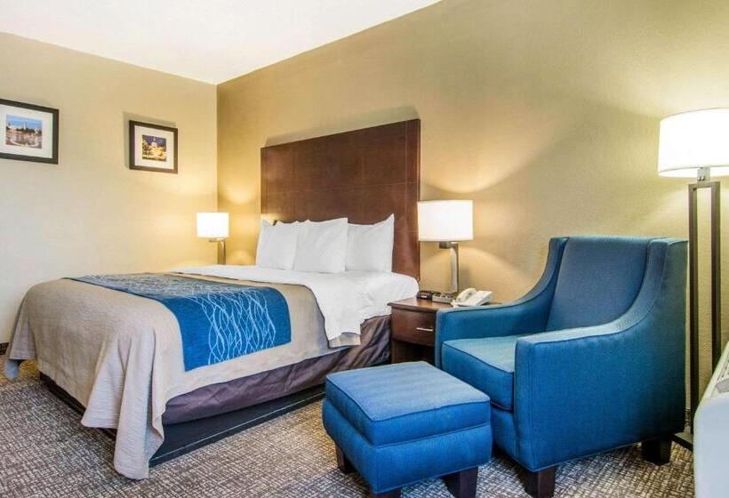 חדר סטנדרט עם מיטת קינג, Comfort Inn Atlanta Downtown South