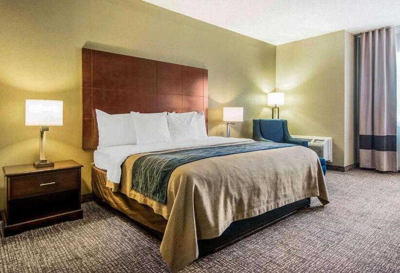 带大床的标准间, Comfort Inn Atlanta Downtown South