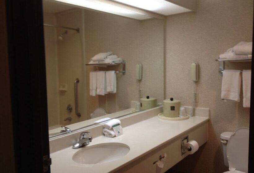 Люкс, Comfort Suites Mcalester