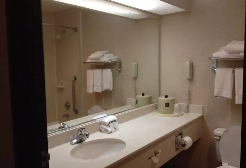 スイート, Comfort Suites Mcalester