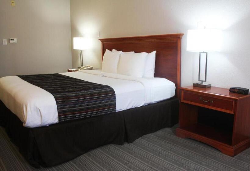 اتاق استاندارد با تخت بزرگ, Country Inn & Suites By Radisson, Lackland Afb San Antonio , Tx