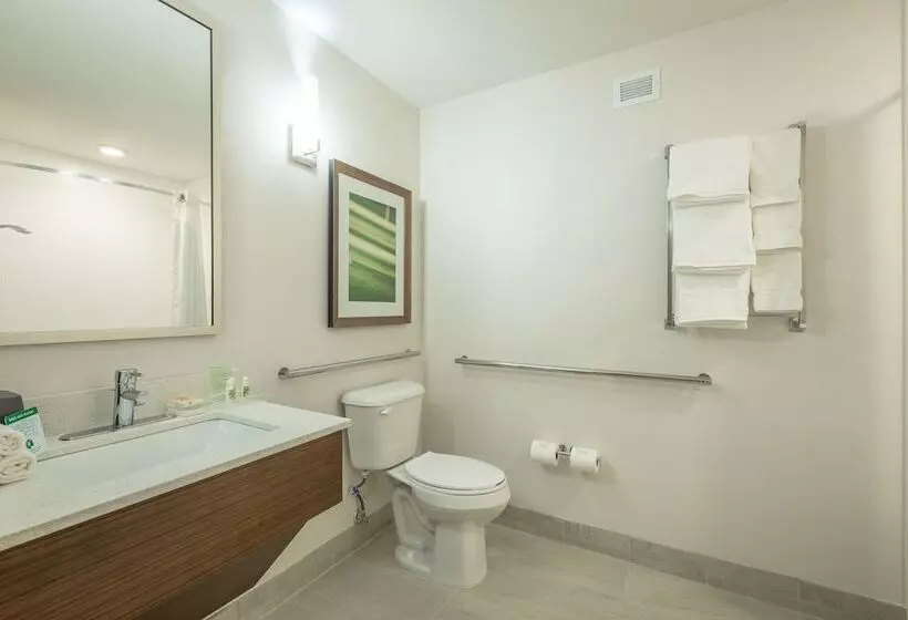 2ダブルベッドのスタンダードルーム, Holiday Inn Hotel And Suites Peachtree City, An Ihg