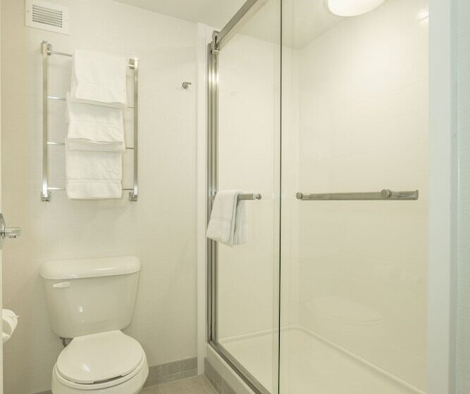 غرفه قياسيه سريرين مزدوجين, Holiday Inn Hotel And Suites Peachtree City, An Ihg