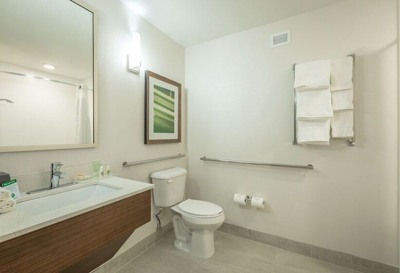 غرفة قياسية, Holiday Inn Hotel And Suites Peachtree City, An Ihg