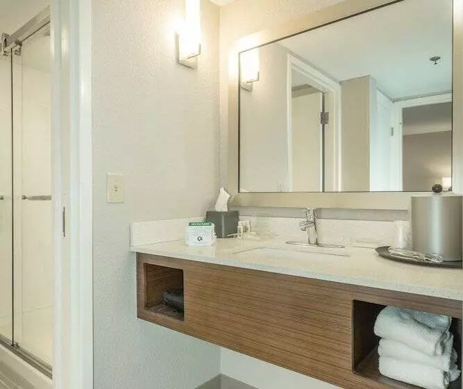 スイート, Holiday Inn Hotel And Suites Peachtree City, An Ihg